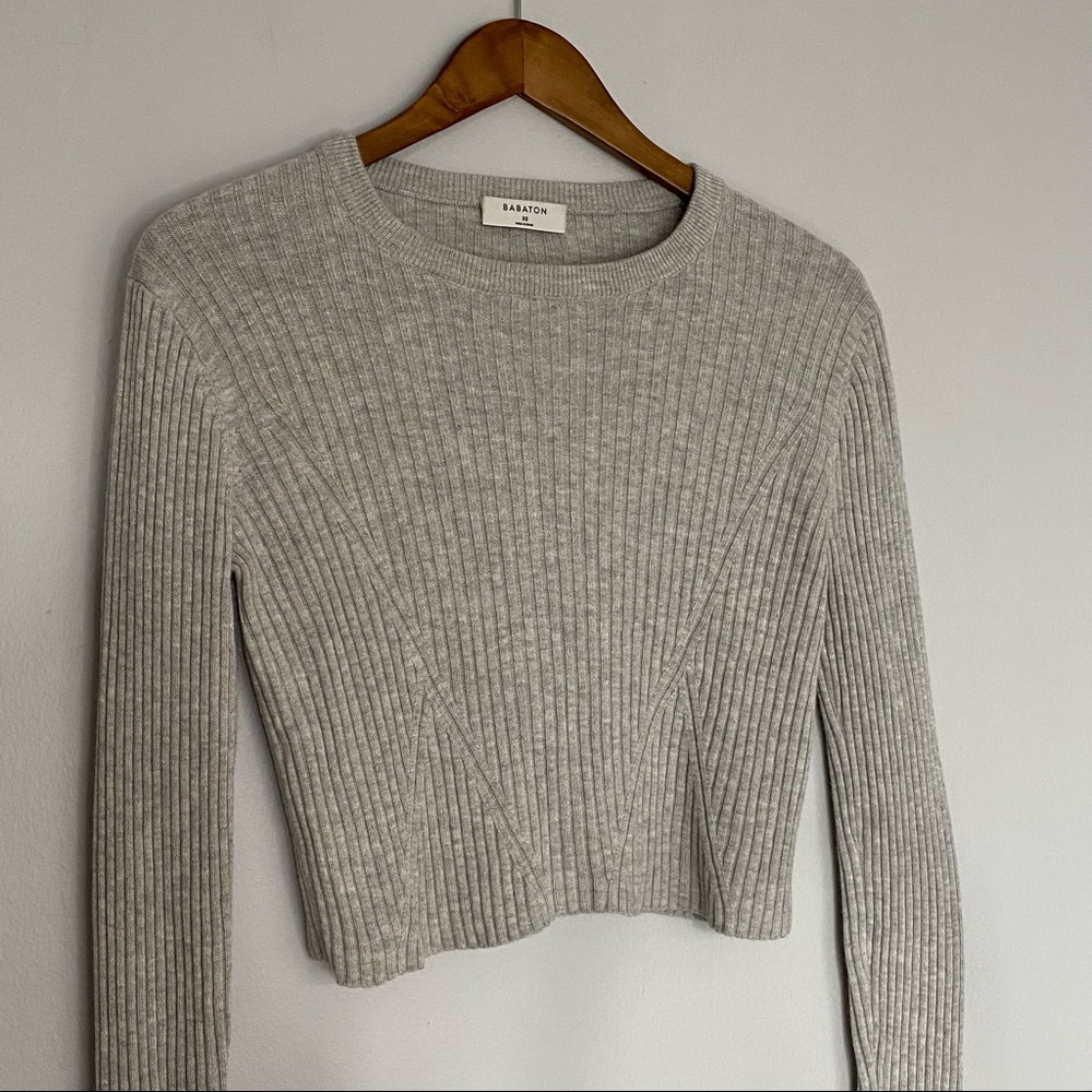 Babaton Gray Long Sleeve Ribbed Crop Top